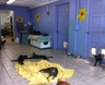 Cat room